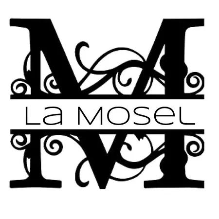 La Mosel Penthouse Im „la Mosel“ Apartment Winningen