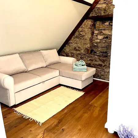 公寓 La Mosel Penthouse Im „la Mosel“ 维宁根